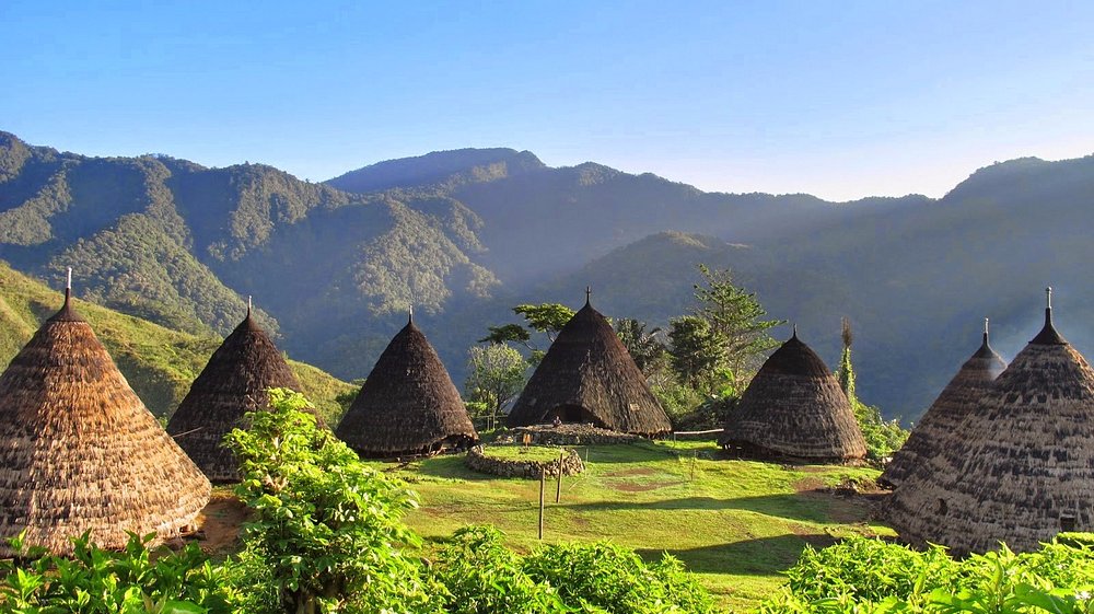 Explore  Rinca Island -Komodo -Pink Beach-Padar Island - Waerebo Traditional village -Lamalera Traditional whaling village in Lembata (11D/10N)