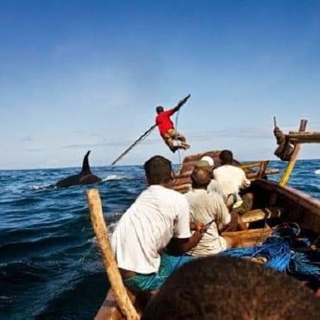 Explore Lembata of Nagawutung and Wulandoni Culture and Adventure  and Lamalera Whaling Village Tour (5D/4N)