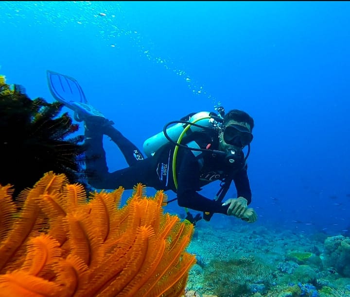 Explore Nuhanera Underwater Tour in Lembata  (3D/2N)